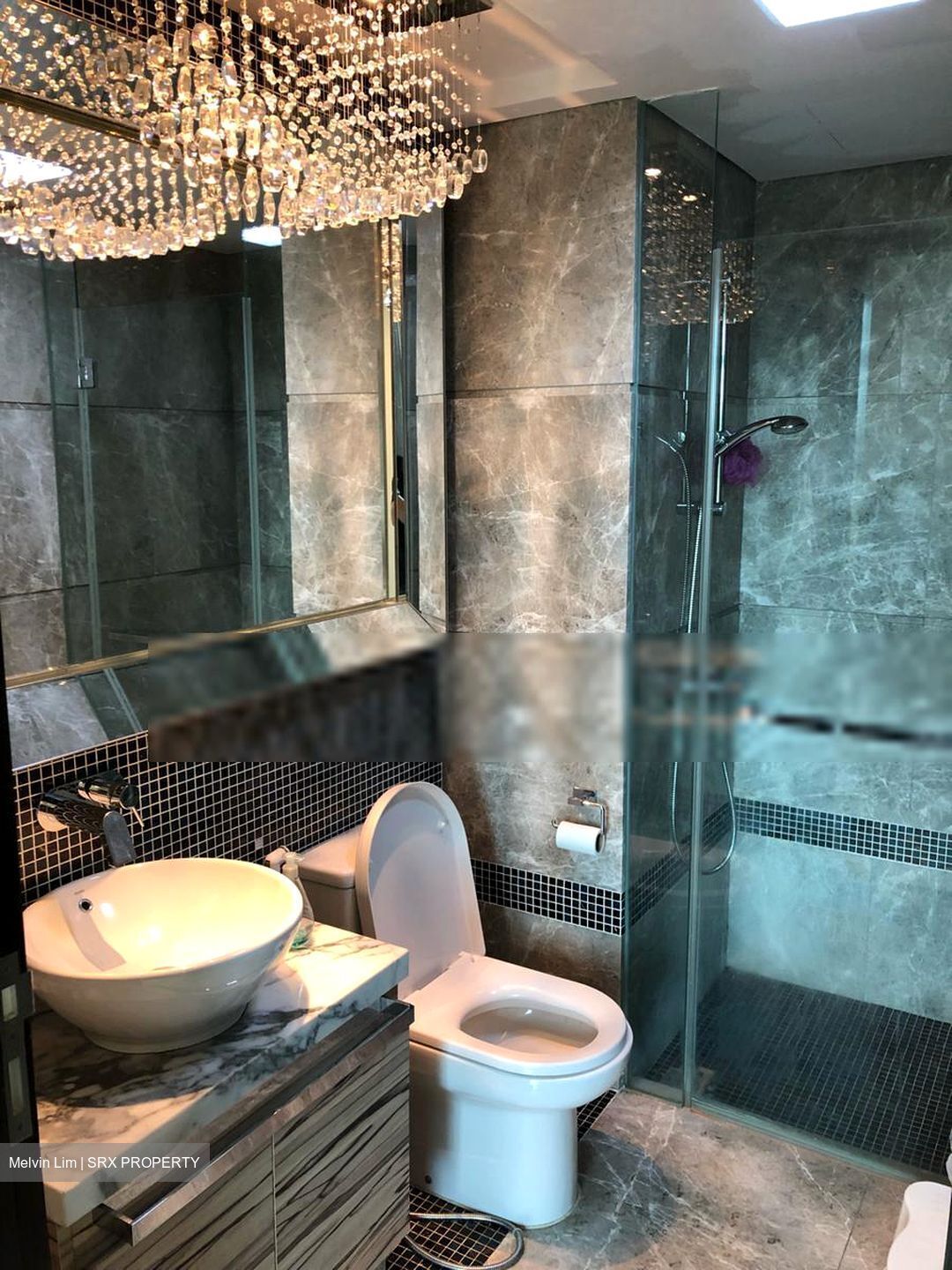 The Vision (D5), Condominium #450454571